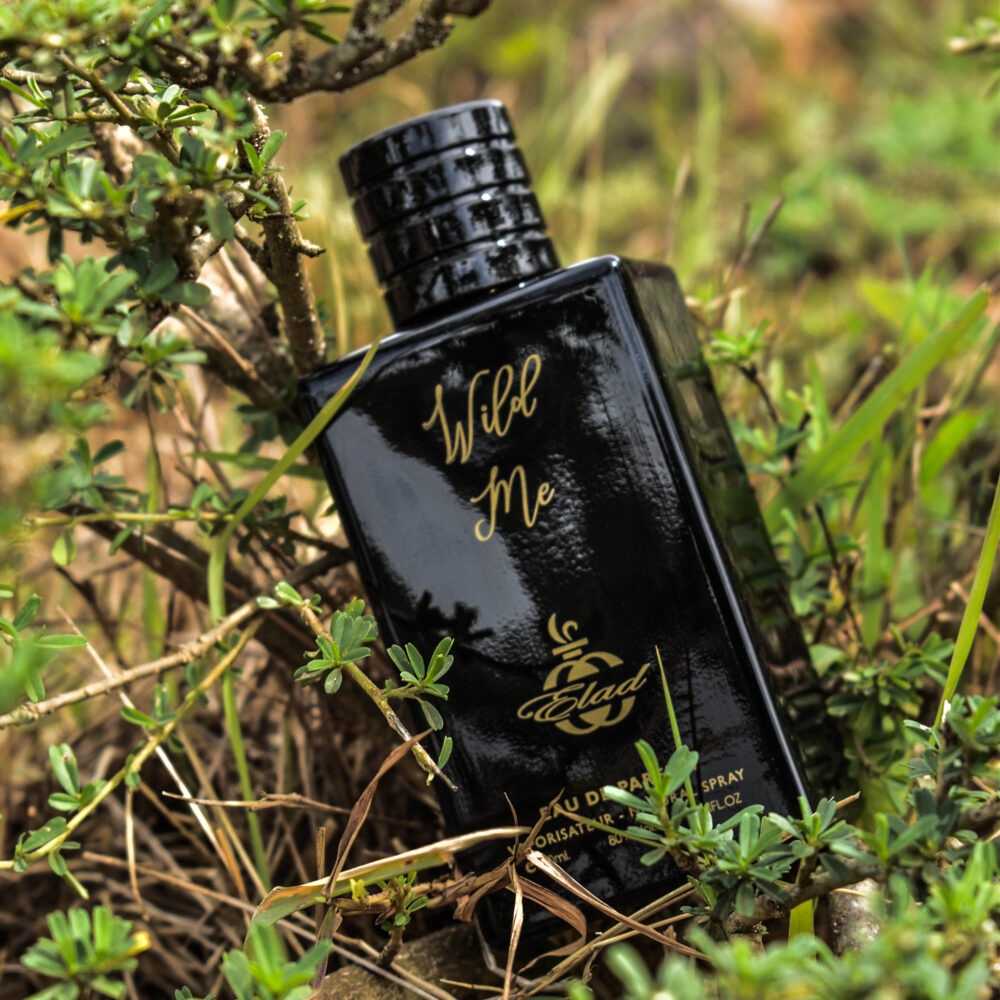 Shop Primary Image Shop Primary Image