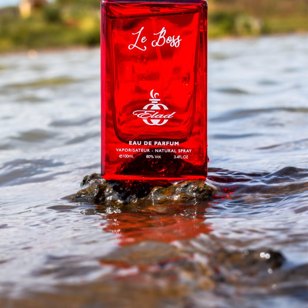 Shop Primary Image Shop Primary Image