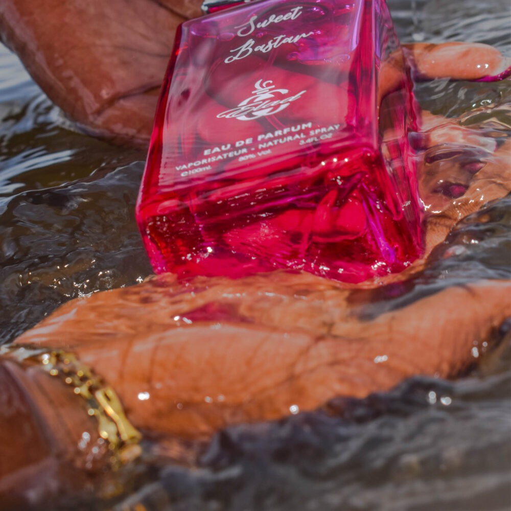 Shop Primary Image Shop Primary Image